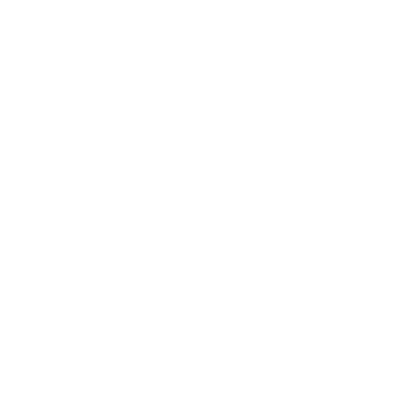 AcademyOcean logo
