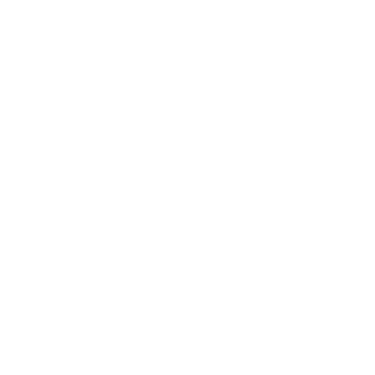 JSON logo