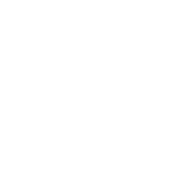 X (formerly Twitter) (DEACTIVATED) logo
