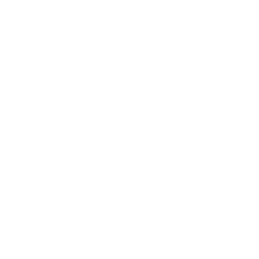 Webflow integration icon